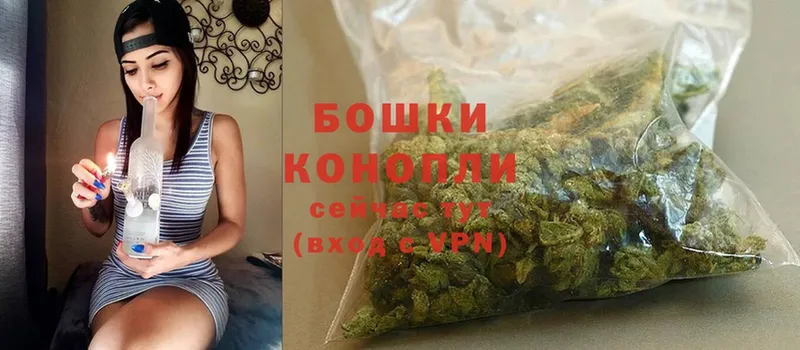 Бошки Шишки план  Кадников 